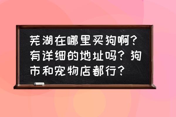 芜湖哪里有卖柯基狗的地方 芜湖在哪里买狗啊？有详细的地址吗？狗市和宠物店都行？