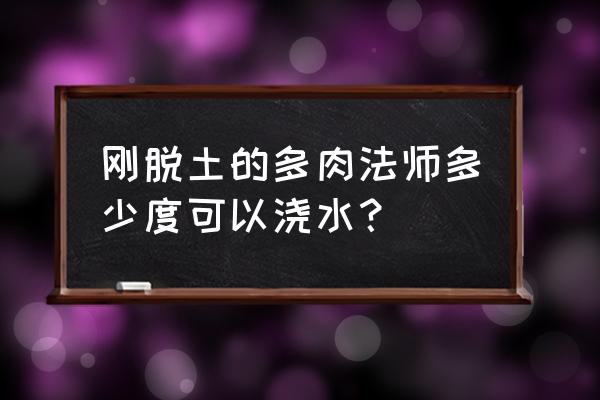 法师还没有服盆可以浇水吗 刚脱土的多肉法师多少度可以浇水？