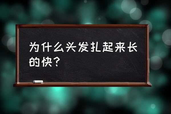 扎头发容易长长吗 为什么头发扎起来长的快？