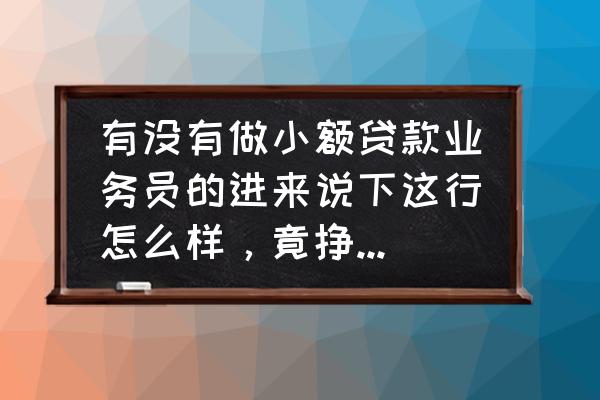 小额贷款一年赚几百万 有没有做小额贷款业务员的进来说下这行怎么样，竟挣那么激烈还能工资过万吗？