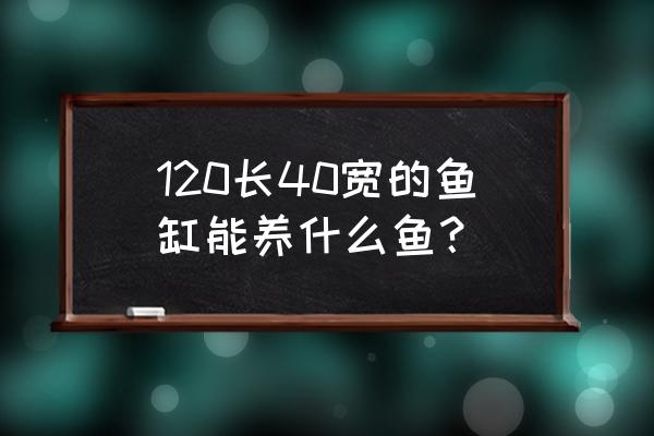 120鱼缸养什么热带鱼 120长40宽的鱼缸能养什么鱼？