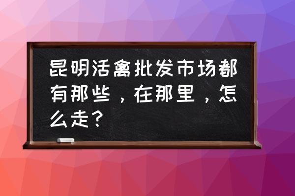 云南活禽批发市场在哪 昆明活禽批发市场都有那些，在那里，怎么走？