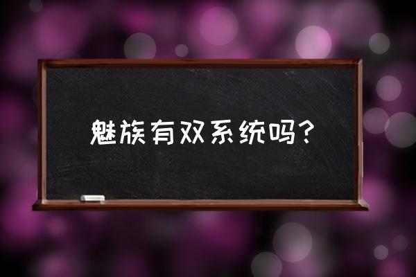 魅族16s是双ios吗 魅族有双系统吗？