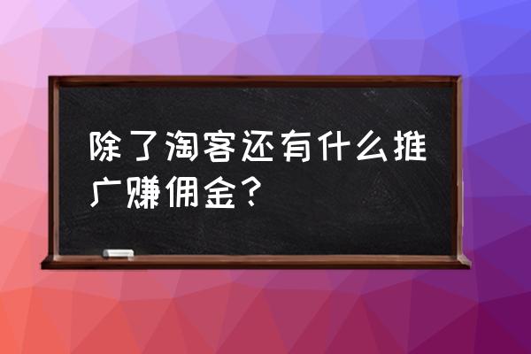 现在除了淘客还有什么推广 除了淘客还有什么推广赚佣金？