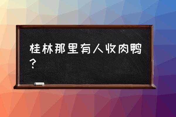 桂林市哪里有肉兔批发市场 桂林那里有人收肉鸭？