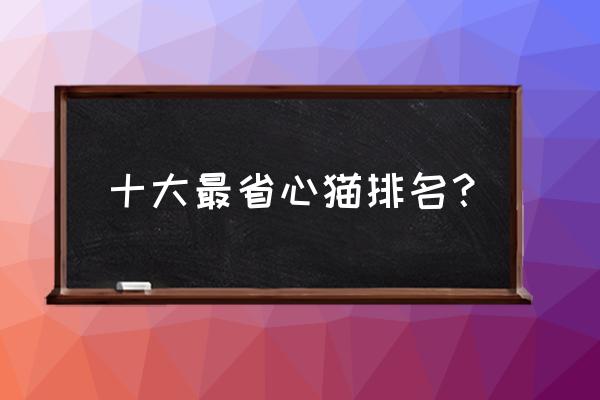 什么品种的猫养起来最省事情 十大最省心猫排名？