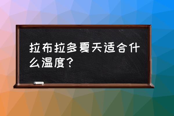 拉布拉多的体温是多少正常吗 拉布拉多夏天适合什么温度？