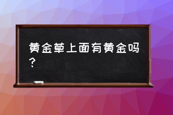 问荆草怎样提取黄金 黄金草上面有黄金吗？