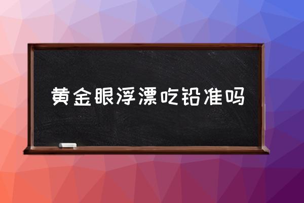 黄金眼l1009野钓怎样 黄金眼浮漂吃铅准吗