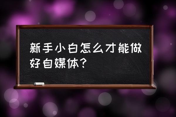 创作小白如何做好自媒体 新手小白怎么才能做好自媒体？