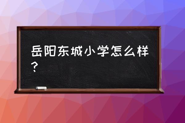 岳阳市八字门小学在哪 岳阳东城小学怎么样？