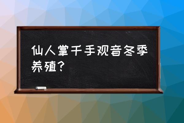 千手观音植物冬季怎么养 仙人掌千手观音冬季养殖？