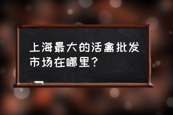 上海市活禽批发市场在哪里 上海最大的活禽批发市场在哪里？