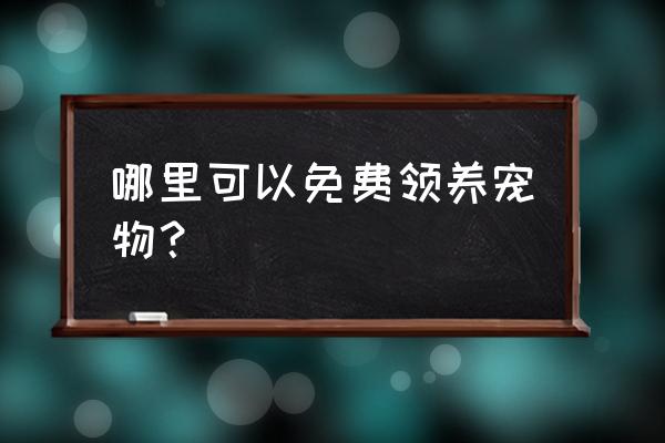 微信群怎么领养王二狗 哪里可以免费领养宠物？