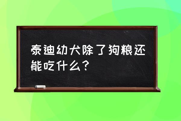 泰迪狗很小吃什么 泰迪幼犬除了狗粮还能吃什么？