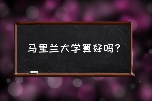 马里兰大学在美国哪个城市 马里兰大学算好吗？