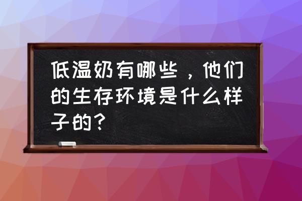 常熟低温奶批发商家有哪些 低温奶有哪些，他们的生存环境是什么样子的？