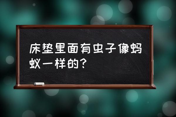 梦见床垫有虫子是什么意思 床垫里面有虫子像蚂蚁一样的？