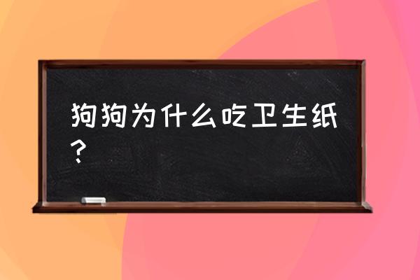 狗吃卫生纸怎么办 狗狗为什么吃卫生纸？