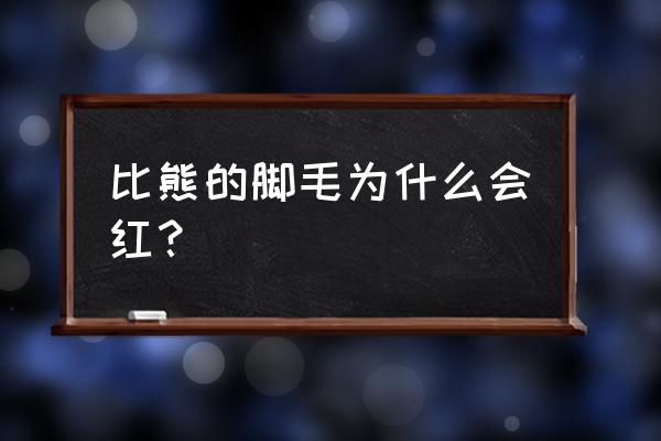 比熊犬脚毛多久剪一次 比熊的脚毛为什么会红？