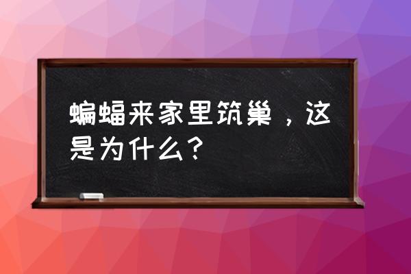 家里院子进蝙蝠怎么处理 蝙蝠来家里筑巢，这是为什么？