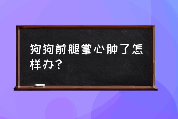 公狗生殖处肿胀怎么办 狗狗前腿掌心肿了怎样办？