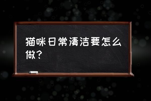 屋里的浮毛怎么去除 猫咪日常清洁要怎么做？