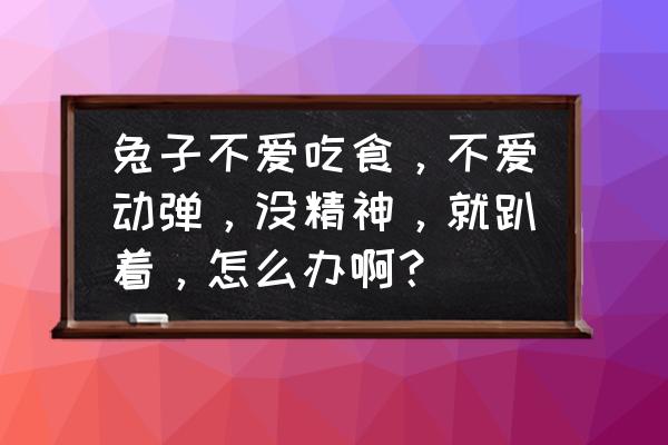 兔子没精神一直趴着不吃东西拉稀 兔子不爱吃食，不爱动弹，没精神，就趴着，怎么办啊？