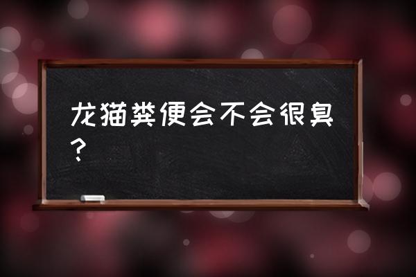 兔子磨牙草饼怎么做 龙猫粪便会不会很臭？