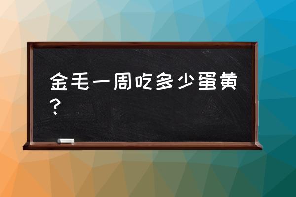 金毛狗怎么养能胖一点呢 金毛一周吃多少蛋黄？