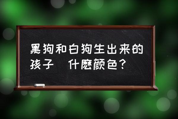 狗狗可以识别的颜色 黑狗和白狗生出来的孩子昰什麽颜色？