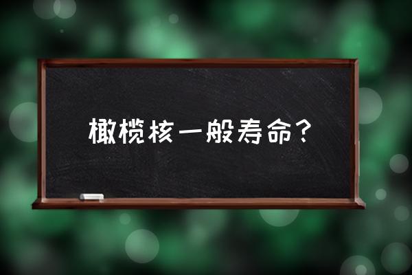 橄榄核雕需要保养吗多少钱一个 橄榄核一般寿命？