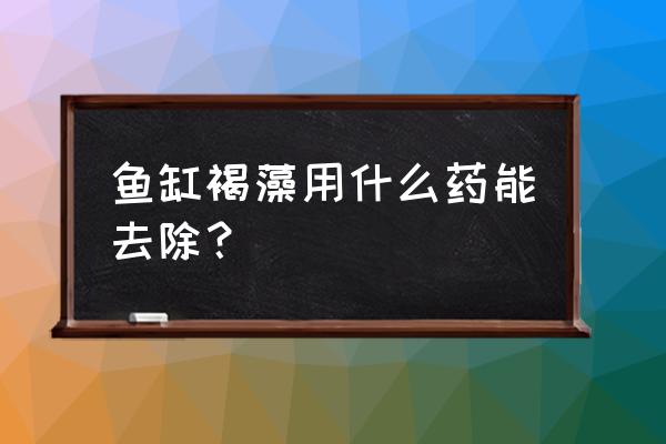 鱼缸褐藻怎么去除最简单 鱼缸褐藻用什么药能去除？