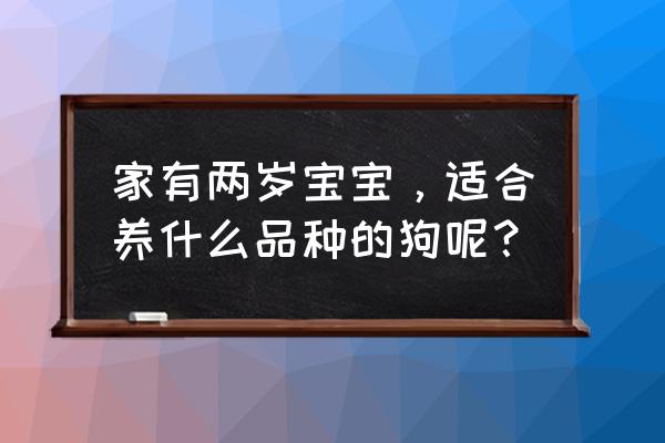 家里有孩子的适合养哪种狗 家有两岁宝宝，适合养什么品种的狗呢？