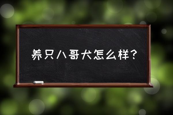 训练巴哥上厕所教程 养只八哥犬怎么样？