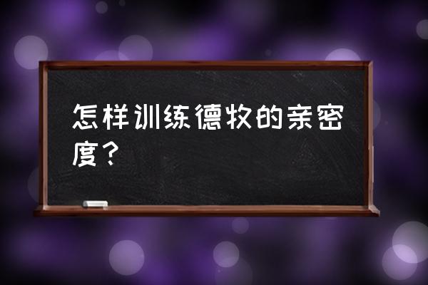 怎样训练德牧最好 怎样训练德牧的亲密度？