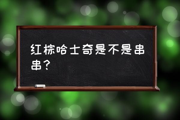 怎样分辨哈士奇是不是纯种 红棕哈士奇是不是串串？