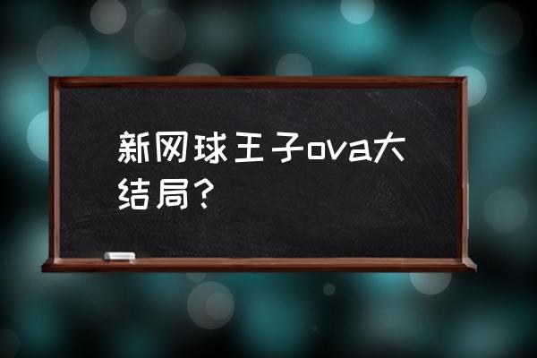 龙马加入美国队后续 新网球王子ova大结局？