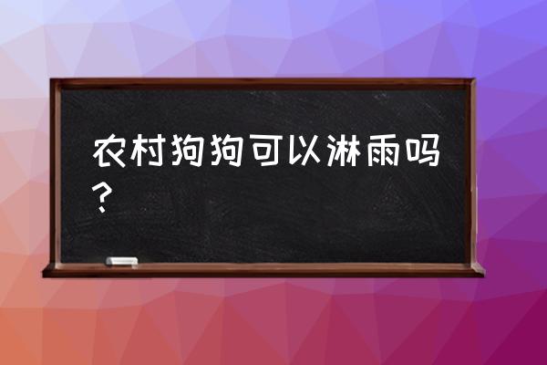 狗狗不在家排便下雨天怎么办 农村狗狗可以淋雨吗？