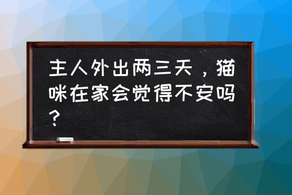 三个月猫咪恨主人的十种表现 主人外出两三天，猫咪在家会觉得不安吗？