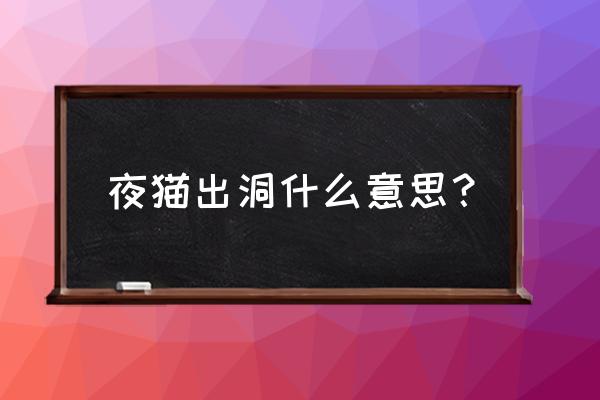 老鼠是夜视的动物吗 夜猫出洞什么意思？