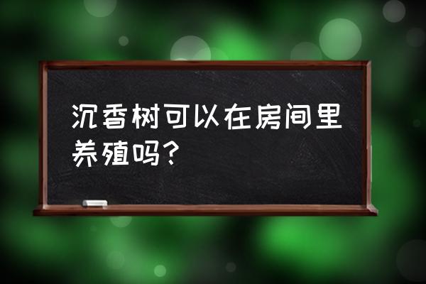 为什么卧室不能放沉香 沉香树可以在房间里养殖吗？