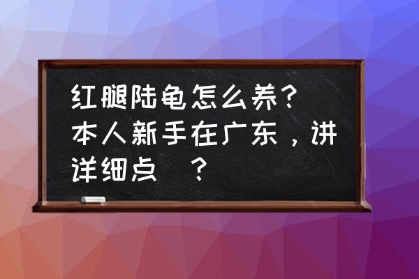 红腿陆龟湿度多少最佳 红腿陆龟怎么养？(本人新手在广东，讲详细点)？