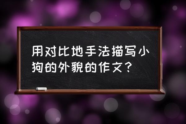 小狗的外形描写简短 用对比地手法描写小狗的外貌的作文？