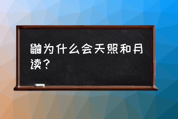 鼬怎么画简单又漂亮 鼬为什么会天照和月读？