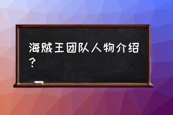 海贼王动态壁纸软件 海贼王团队人物介绍？