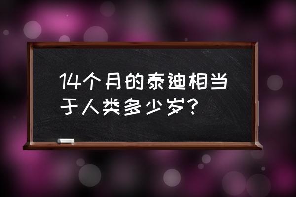 泰迪犬寿命对照表 14个月的泰迪相当于人类多少岁？