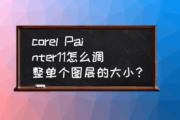 painter怎么调整写出来的字的大小 corel Painter11怎么调整单个图层的大小？