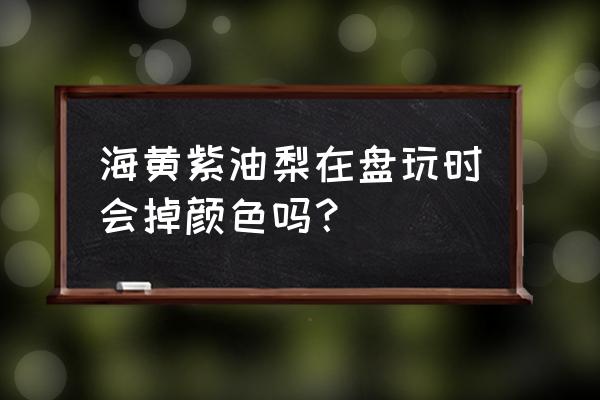 紫油梨适合长期盘玩吗 海黄紫油梨在盘玩时会掉颜色吗？