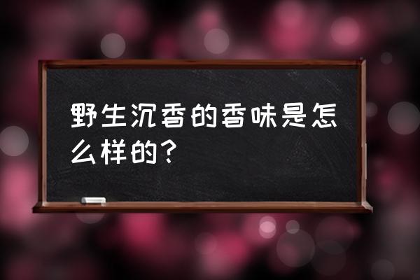 海南沉香生闻有香味吗 野生沉香的香味是怎么样的？